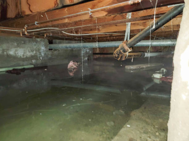 Best Basement water damage restoration  in Canastota, NY