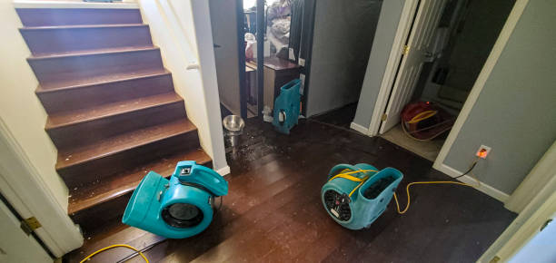 Best 24/7 water damage repair  in Canastota, NY