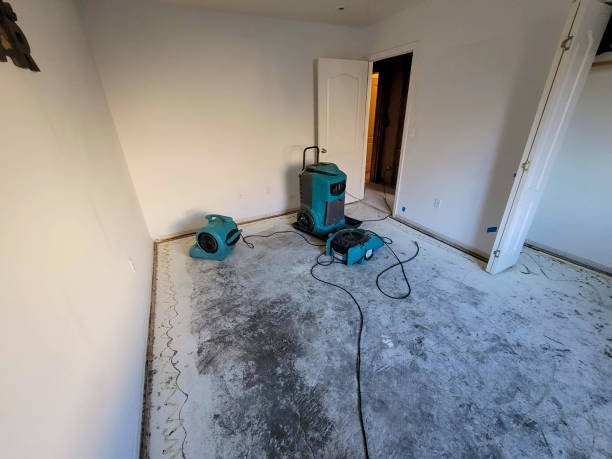 Best Professional water damage repair  in Canastota, NY