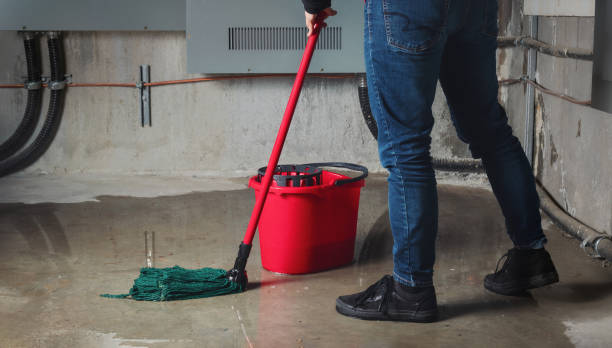 Best Residential water damage restoration  in Canastota, NY