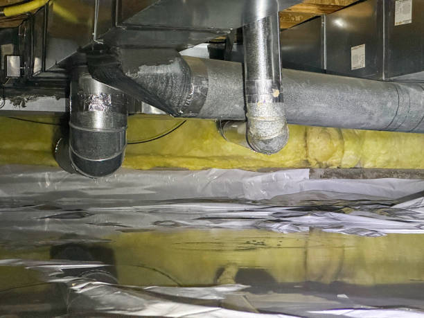 Best Carpet water damage restoration  in Canastota, NY